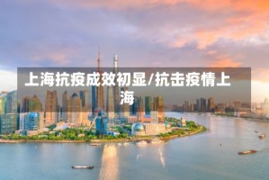 上海抗疫成效初显/抗击疫情上海
