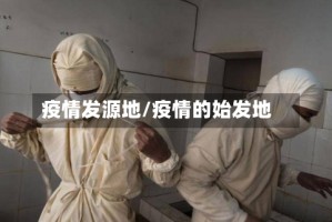 疫情发源地/疫情的始发地