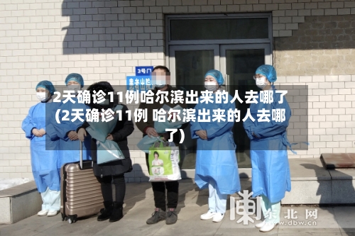 2天确诊11例哈尔滨出来的人去哪了(2天确诊11例 哈尔滨出来的人去哪了)-第1张图片