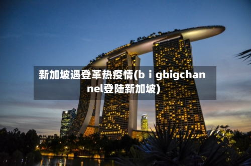 新加坡遇登革热疫情(bⅰgbigchannel登陆新加坡)-第1张图片