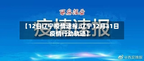 【12日辽宁疫情速报,辽宁12月31日疫情行动轨迹】-第1张图片